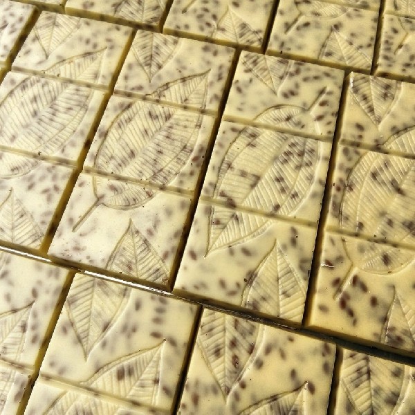Les divers biscuits chocolatés sont disponibles en vrac au magasin  5,80 EUR/ 100g<br />
Un assortiment divers biscuits dans une boite cylindrique métallique blanc à 8,50 EUR/ 160g<br />
<br />
<br />
<br />
 <br />
<br />
<br />
<br />
Financier au chocolat :<br />
Biscuit à la poudre damandes enrobé de chocolat noir 65%<br />
<br />
<br />
<br />
Rocher aux noisettes et fèves de cacao :<br />
Rocher aux noisettes et fèves de cacao sur une chocolat noir 65%<br />
<br />
<br />
<br />
Sablé aux noix de Grenoble et chocolat blanc :<br />
Biscuit sablé au beurre et cerneaux de noix et fins traits de chocolat blanc<br />
<br />
<br />
<br />
Spéculoos au chocolat au lait:<br />
Biscuit spéculoos, enrobé de chocolat au lait 55%<br />
<br />
<br />
<br />
Sablé au beurre et fèves de cacao Criollo du Pérou:<br />
Biscuit au beurre et fèves concassés avec une touche de chocolat noir 65%<br />
<br />
<br />
<br />
Baci di Dama au praliné de noisettes :<br />
Biscuit aux noisettes du Piémont, crème pralinée aux noisettes<br />
<br />
<br />
<br />
Sablé au chocolat noir 65%:<br />
Sablé au cacao enrobé de chocolat noir 65%  <br />
<br />
<br />
<br />
Petit sablé au chocolat noir :<br />
Biscuit sablé au cacao couvert à moitié de chocolat noir 65%<br />
<br />
<br />
<br />
Florentin aux fruits rouges :<br />
Tuile d'amandes effilées et caramélisées aux oranges et fruits rouges sur chocolat noir 65%
